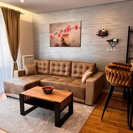 Aleksic Apartamento *